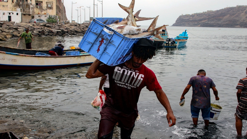 الأمم المتحدة تدعو إلى دعم عاجل لاقتصاد اليمن لتفادي انهيار كامل