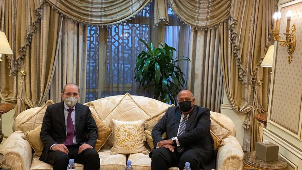 وزير الخارجية يبحث مع نظيره المصري أهمية تعزيز العمل العربي المشترك