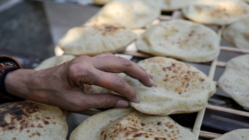 مصر تقول إنها لا تخشى اضطرابات سوق القمح