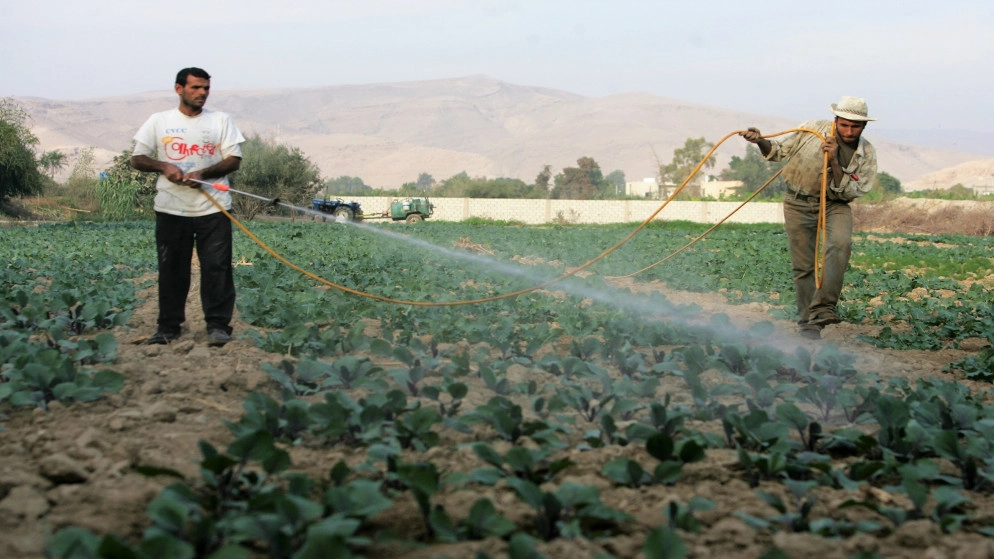 "جيدكو" تطلق المرحلة 2 من مشروع التنمية الاقتصادية الريفية والتشغيل
