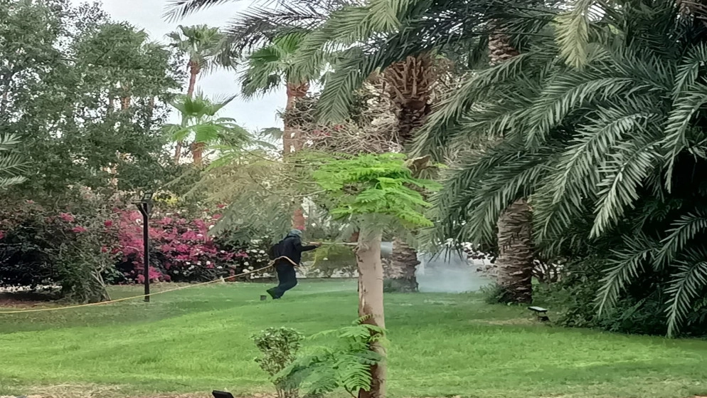وزارة الزراعة: انطلاق حملة مكافحة الذباب المنزلي في وادي الأردن