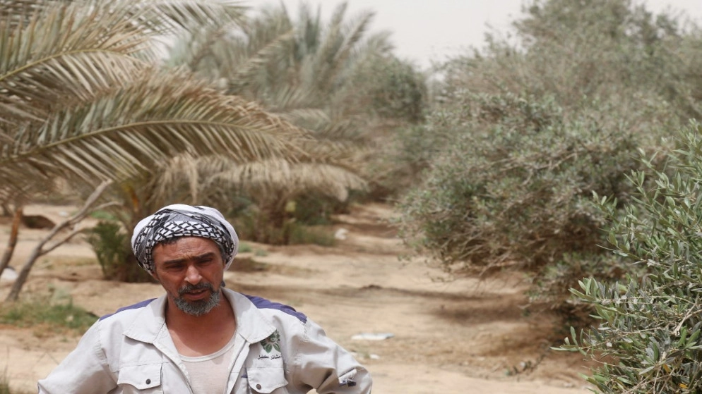 انخفاض احتياطي العراق من المياه إلى النصف
