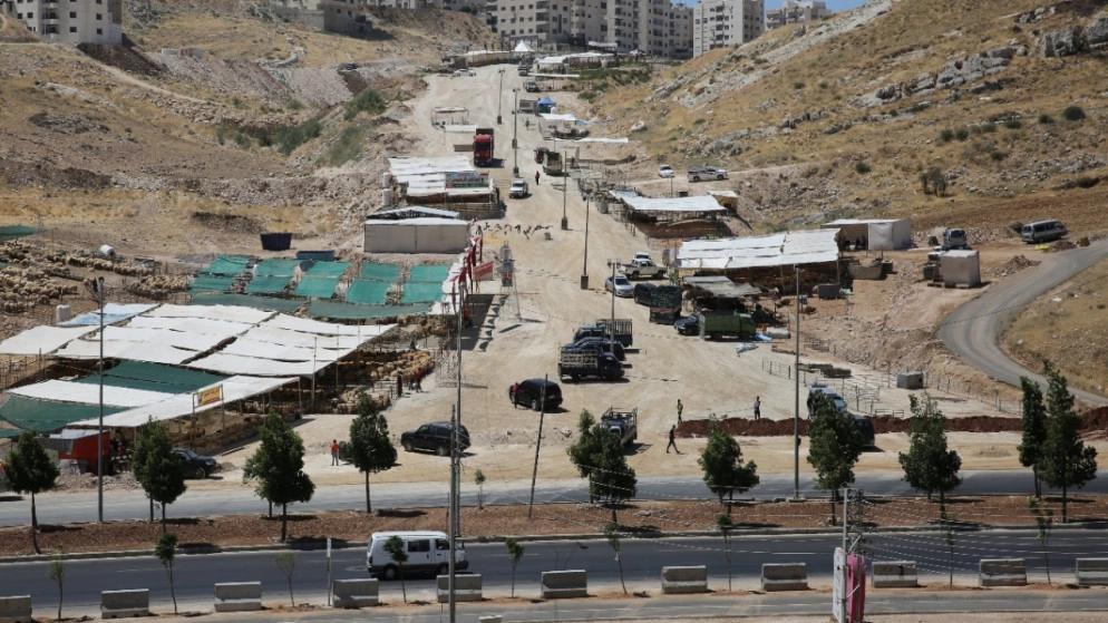 أمين عمّان يؤكد ضرورة تطبيق الإجراءات الرقابية الصحية في مواقع الأضاحي