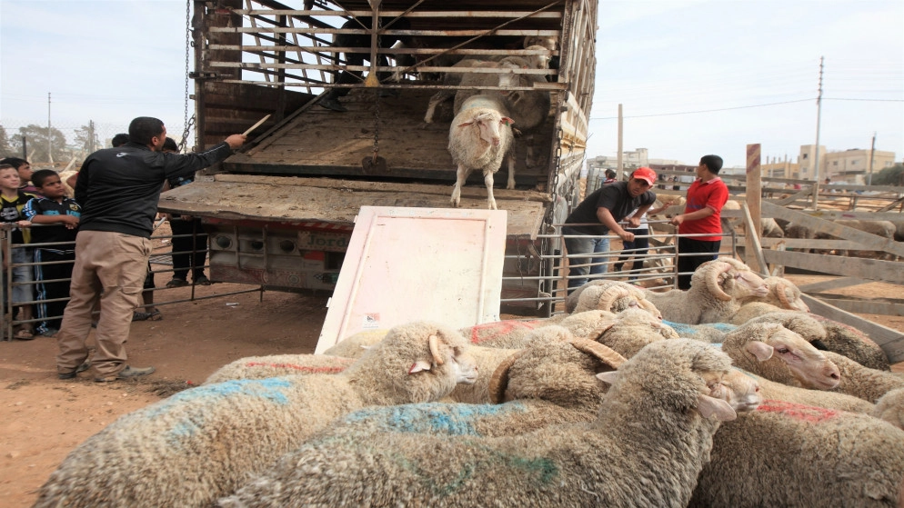 مديرية الأمن العام تقدم أضاحي بأسماء شهدائها وتسلمها لذويهم