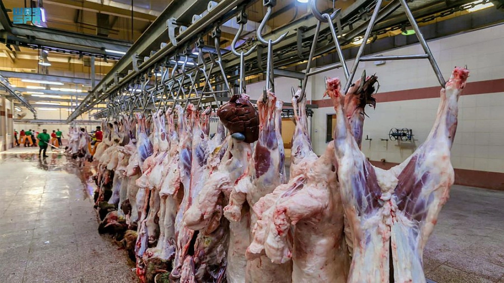 السعودية تعلن ذبح أكثر من 444 ألف أضحية خلال موسم الحج