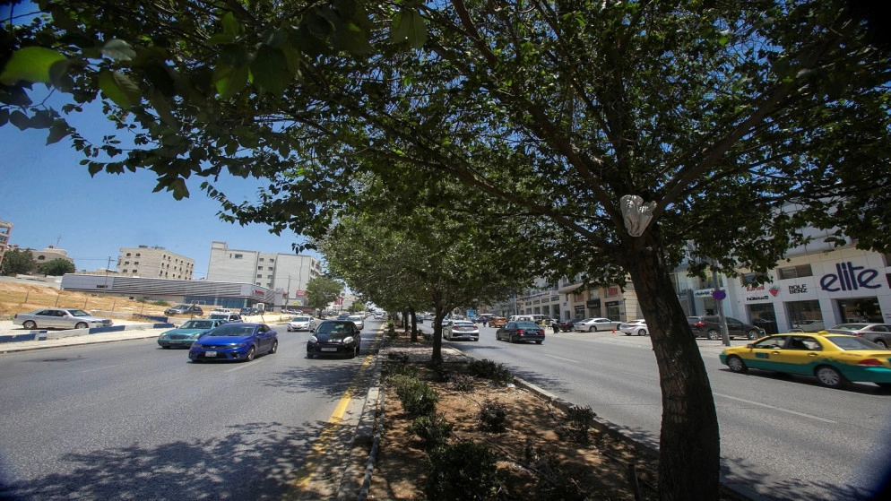 تفعيل نظام النقاط المرورية