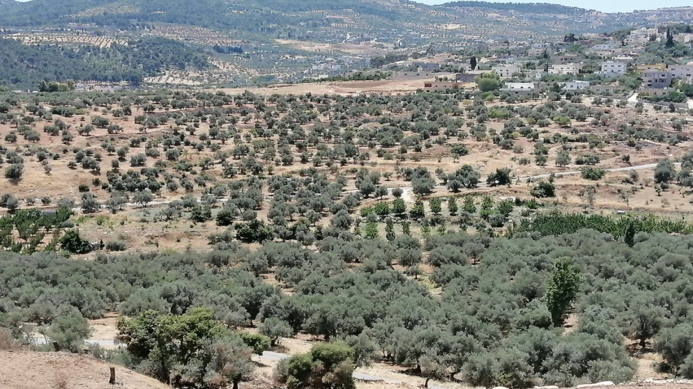 "زراعة المفرق" ترفض التوقيع على مشروع موزانة المحافظة باعتباره "لا يُلبي الاحتياجات الأساسية للقطاع"